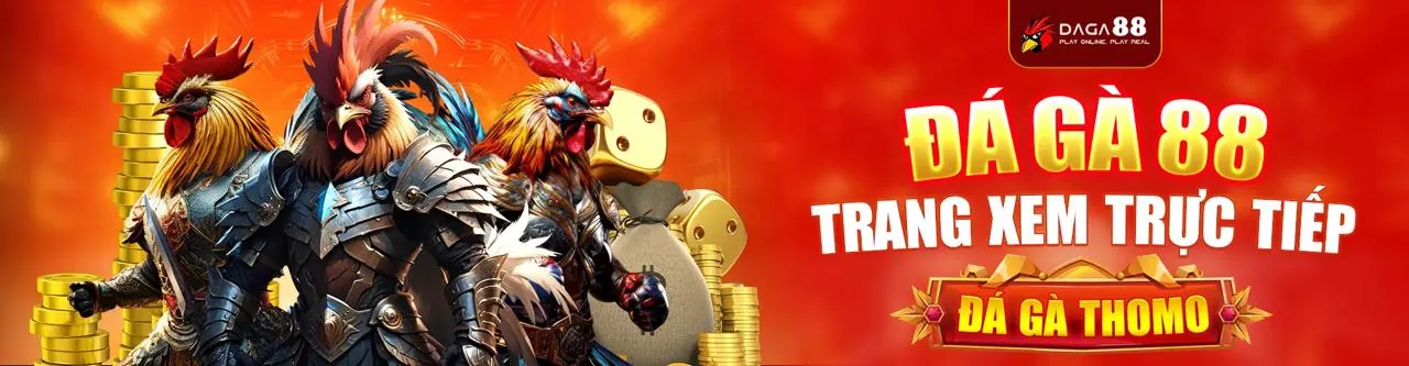 Đá gà trực tuyến 789wi chính thức